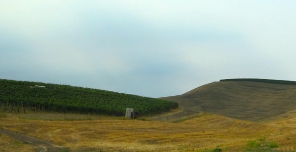 Spring Valley Vineyards